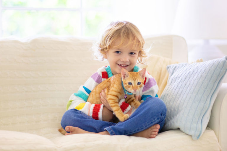 Allergies poils d'animaux